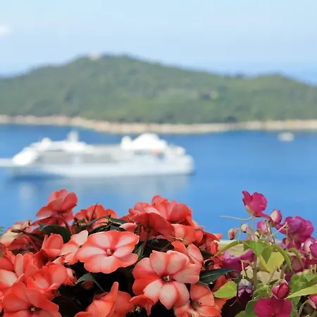 Blue Harmony Sea View